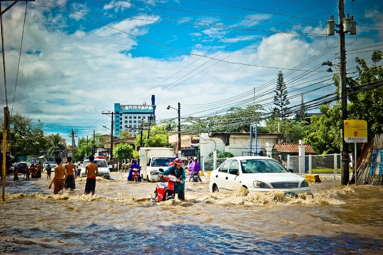 Mau Beli Mobil Bekas? Hindari Beli Mobil Bekas Banjir, Ini Risikonya!