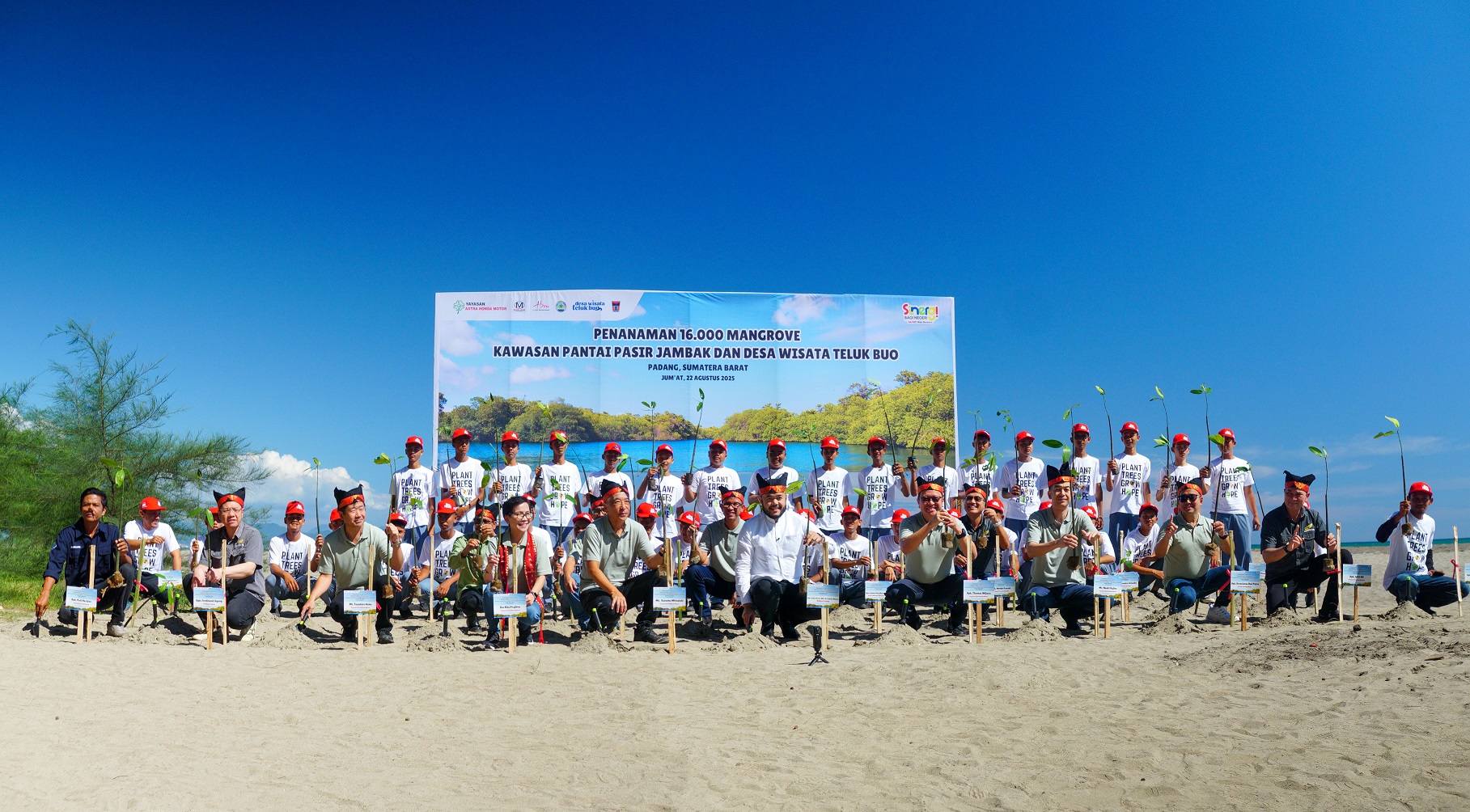 Dukung Keberlanjutan Lingkungan, Yayasan AHM Tanam Ribuan Mangrove dan Lepas Tukik di Sumbar