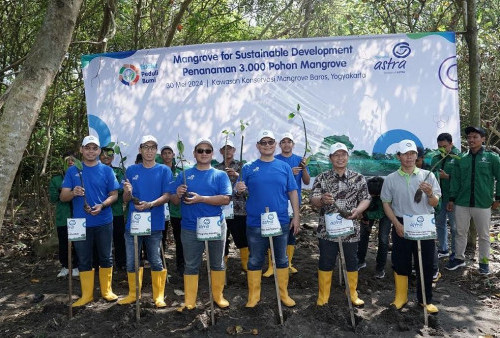 Estafet Peduli Bumi: Komitmen Jaga dan Lestarikan Lingkungan, Asuransi Astra Tanam 3.000 Pohon Mangrove Untuk Cegah Abrasi di Yogyakarta