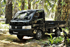 Masih Jadi Favorit Pelaku Usaha, Suzuki Carry Pick Up Pimpin Penjualan Februari 2026