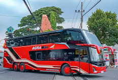 Mudik Lebih Nyaman dengan 5 Pilihan Sleeper Bus Berfasilitas Terbaik!