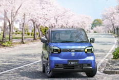 Kecil-Kecil Cabe Rawit, Suzuki e-Sky Bisa Jalan 310 Km Sekali Cas