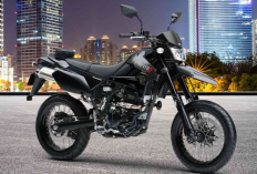 Kelebihan dan Kekurangan Supermoto Kawasaki D-Tracker X 250