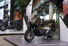 Demam Pesta Bola Dunia, Wahana Honda Guyur Diskon Jutaan Rupiah Plus Potongan Tenor Sampai 4 Kali!