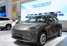 Bikin Pangling! Gandeng HSR Wheel, Geely EX2 Disulap Jadi Lebih Sporty