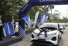 Changan Nevo Q05 Mulai Dikirim ke Konsumen, Harga Naik Jadi Segini