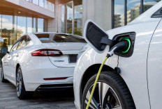 Sering Salah Kaprah, Ini Perbedaan Mobil Hybrid dan PHEV