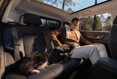 Makin Praktis Bawa Anabul, JAECOO J5 EV Usung Konsep SUV Listrik Ramah Hewan