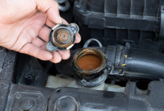 Air Radiator Mobil Bekas Keruh dan Cokelat? Waspada, Bisa Jadi Tanda Mesin Pernah Bermasalah