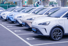 Gempuran Mobil Listrik China di Indonesia, Komisi VII DPR Wanti-wanti Soal Kewajiban TKDN 40 Persen