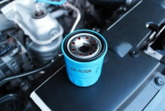 Masih Banyak yang Keliru, Begini Cara Memilih Filter Oli Mobil yang Tepat Sesuai Spesifikasi dan Jenis Mesin