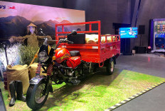 Spek Gak Kaleng-kaleng, Ini Dia Keunggulan TVS Armado 200: Si Roda Tiga Tangguh Seharga Rp 30 Jutaan