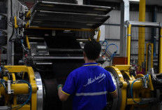 Beda Kebutuhan, Beda Pilihan! Kenali Karakter Ban BFGoodrich Advantage Touring dan g-Force Phenom