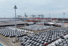 Penjualan Mobil RI Tumbuh 12 Persen di Februari 2026, Ini Daftar Merek Terlaris!