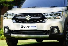 Mantap! Penjualan Mobil Hybrid Suzuki Terus Naik Tiap Bulan, Bukti Kepercayaan Konsumen Makin Meningkat