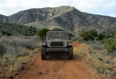 Cek Zodiakmu! Ini Pilihan Model dan Warna Jeep yang Paling Pas dengan Karaktermu