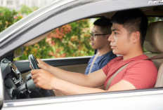 5 Solusi Tepat Agar Tidak Mabuk Lagi Selama Perjalanan Naik Mobil