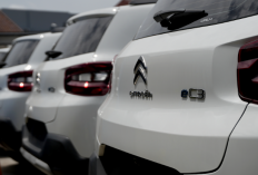 Kolaborasi Berlanjut di GJAW 2025, Citroën Ë-C3 Jadi Andalan Armada Listrik PT Express Transindo