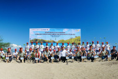 Dukung Keberlanjutan Lingkungan, Yayasan AHM Tanam Ribuan Mangrove dan Lepas Tukik di Sumbar