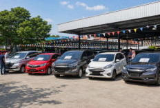 Ini Dia Daftar Mobil Bekas Paling Laris di Pasaran, Harga Masih Stabil
